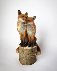 two stuffed foxes sitting on top of a tree stump in front of a white background