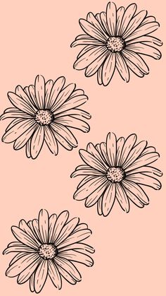 three black and white daisies on a pink background