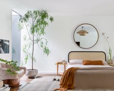 a bedroom with a bed, plant and mirror