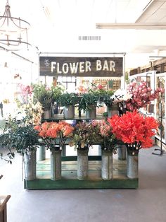 the flower bar is full of flowers and plants