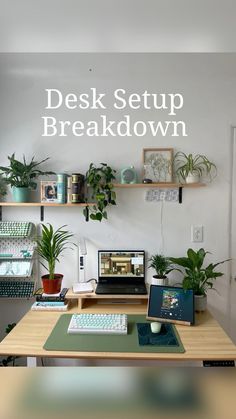 a desk with a computer and plants on it