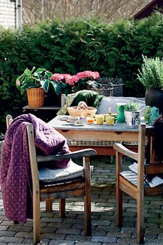 an outdoor table and chairs are set up for a meal in the backyard with potted plants on either side