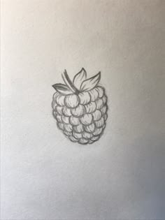 a drawing of a raspberry with leaves on it