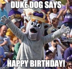 a person dressed as a dog in front of a crowd with their hands up and the words duke dog says happy birthday