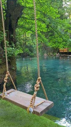 a wooden swing hanging from a rope over a river in a park with blue water