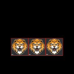 three images of lions with different colors and sizes on the front, side, and back sides