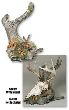 an animal skull with antlers is shown in two different pictures, one has moss and the other has leaves on it