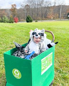 a baby dressed as a raccoon in a recycling bin