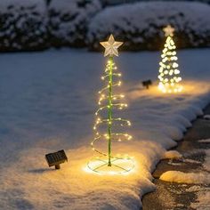 two lighted christmas trees in the snow