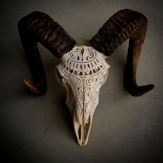 an animal's skull with long horns on the floor