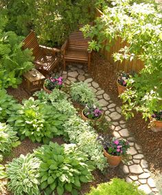 a garden filled with lots of green plants and flowers next to a wooden bench surrounded by greenery