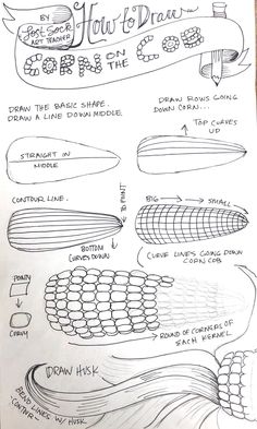 the instructions for how to draw corn on the cob