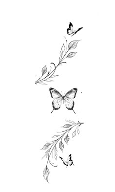 two butterflies flying next to each other on a white background, one is drawn with black ink