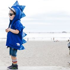 "Blue spike dino hoodie for kids. Our dinosaur hoodie makes a sweet gift for toddlers and big kids. Handcrafted spikes are sewn on to create a dino dressup costume they'll love. Our comfy dino hoodie costume top is fun for pretend play and equally matched for hanging out. Your cute kid will love this baby boy blue dinosaur hoodie with blue geode spikes. Dinosaur sweatshirts are made with either Precious Cargo or Hanes brand hoodies and felt spikes are securely stitched with a sewing machine down Dinosaur Costume Kids, Dino Sweater, Dino Hoodie, Brand Hoodies, Dinosaur Hoodie, Dino Costume, Dinosaur Halloween Costume, Handmade Halloween Costumes, Onesie Costumes