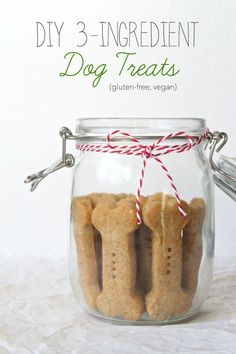 homemade dog treats in a glass jar with red and white twine