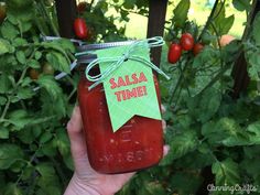 someone holding up a jar of salsa in front of some tomatoes on the vine with a green tag that says salsa time