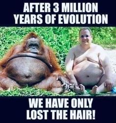 a man sitting next to an orangutan in the grass with caption that reads, after 3 million years of evolution we have only lost the hair