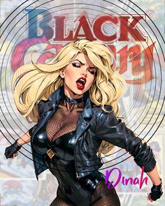 Black Canary Comic, Justice League Of America, Hero Girl, Black Canary, Comics Art, Green Arrow, Comic Movies