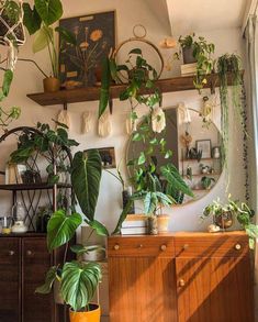 a room filled with lots of green plants and potted plants on top of wooden shelves