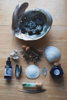 Witch Kit, Water Witch, Witches Altar, Sea Witch, Witch Aesthetic, Practical Magic