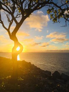 the sun is setting behind a tree by the water's edge with rocks in front of it