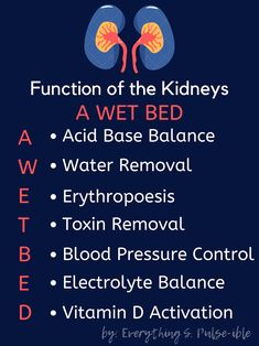 an image of the functions of kidneys and their corresponding blood vessels in this poster