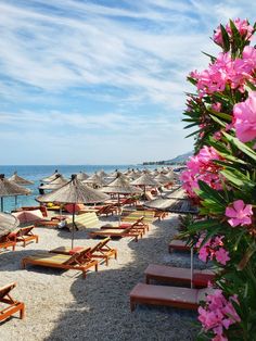 the beach is lined with lounge chairs and umbrellas