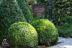 a welcome sign in front of some bushes