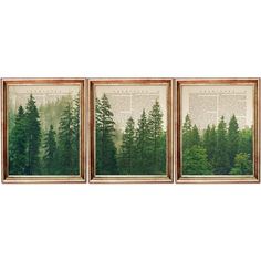 three framed art pieces with trees in the background and words written on each panel,