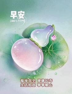 an advertisement for a cosmetic product with flowers and leaves on the front, in chinese