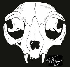 a drawing of a skull with big eyes