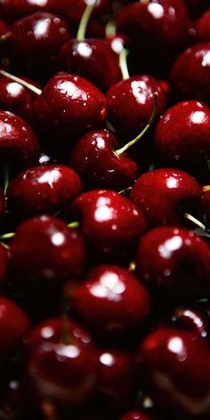 closeup of cherries with water droplets on them, in a pile or bowl