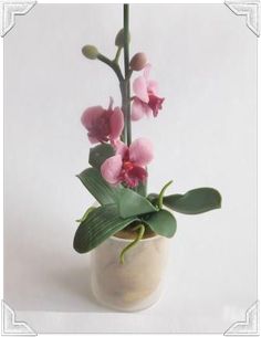 pink flowers in a white vase with green leaves on the top and bottom, against a white background