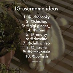 a cat sitting next to a potted plant with the words ig username ideas