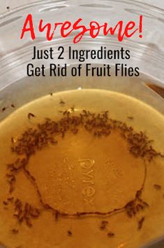 a glass bowl filled with fruit flies sitting on top of a table