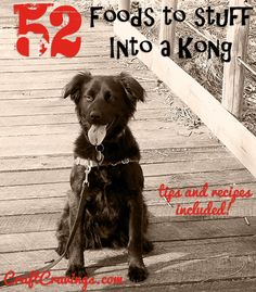 a brown dog sitting on top of a wooden floor next to a white fence with the words 52 foods to stuff into a kong