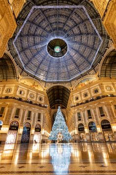 the inside of a building with a christmas tree in the center and lights on the ceiling