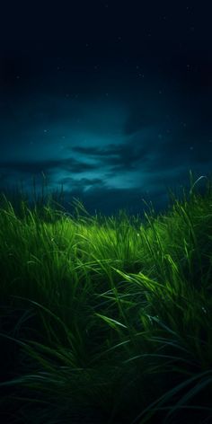 the night sky is full of stars and green grass