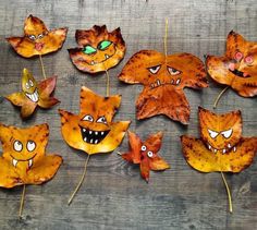 some leaves with faces on them and eyes painted on them are arranged in the shape of cats