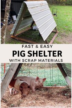 a pig shelter with the text fast and easy pig shelter with scrap materials