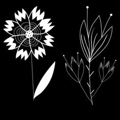 three different types of flowers on a black background