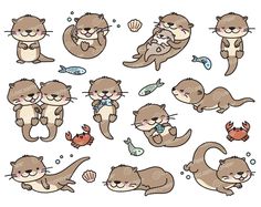 otters with different poses and body shapes