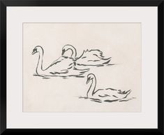 two swans swimming in the water with their necks touching each other's heads, framed art print