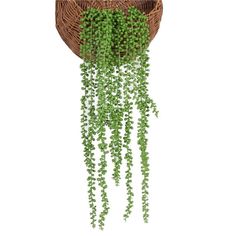 a wicker basket with green plants hanging from it