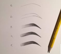 a pencil drawing different types of eyebrows