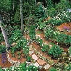 an aerial view of a garden with rocks and flowers in the foreground, surrounded by trees