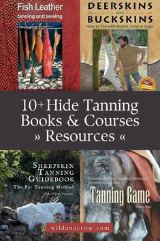 the cover of 10 + hide taming books and courses