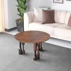 a living room with a couch, coffee table and potted plant in the corner