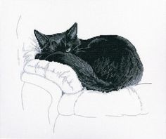 a black cat laying on top of a white couch