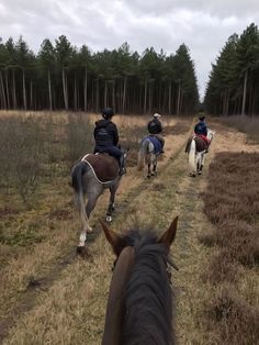 three people riding horses on a trail in the middle of an open field with trees